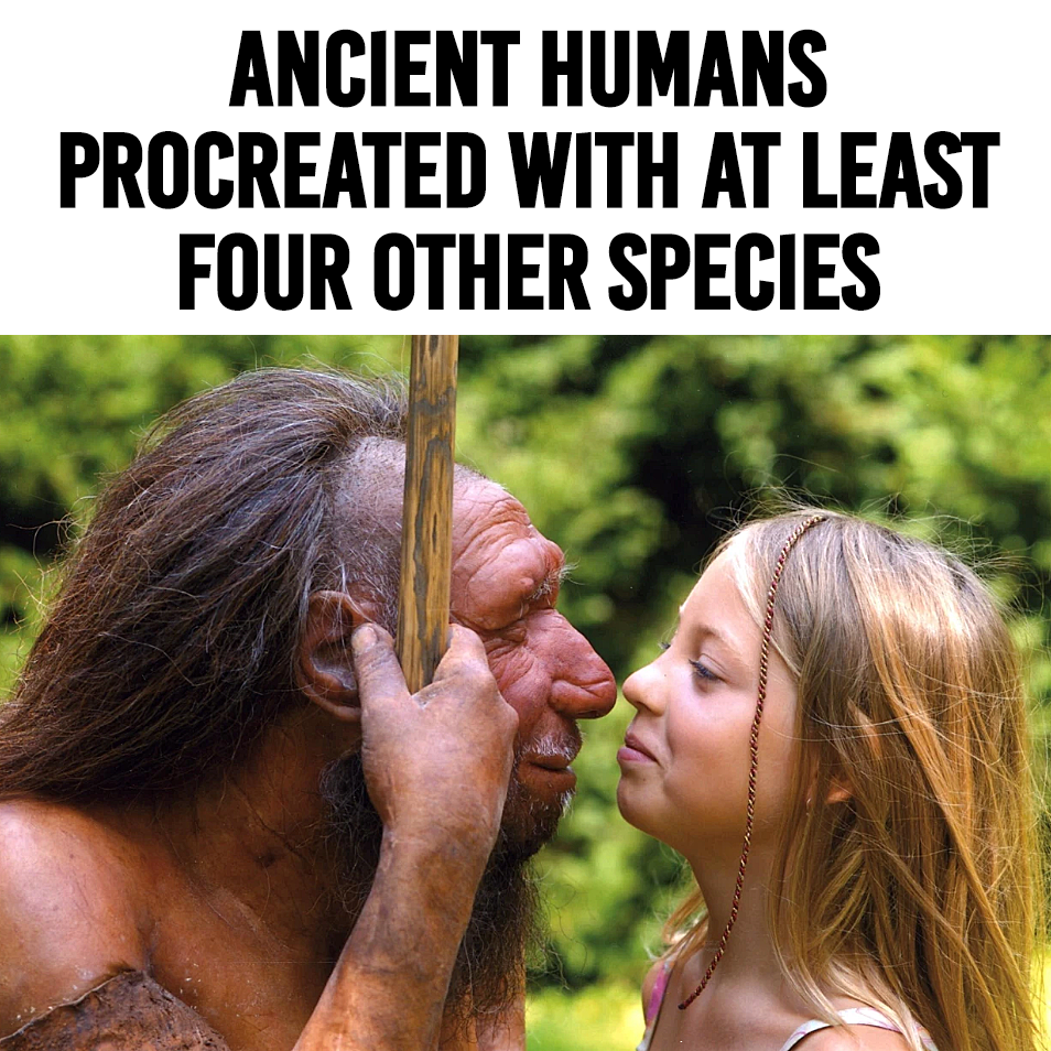 Ancient Humans Procreated With At Least Four Other Species