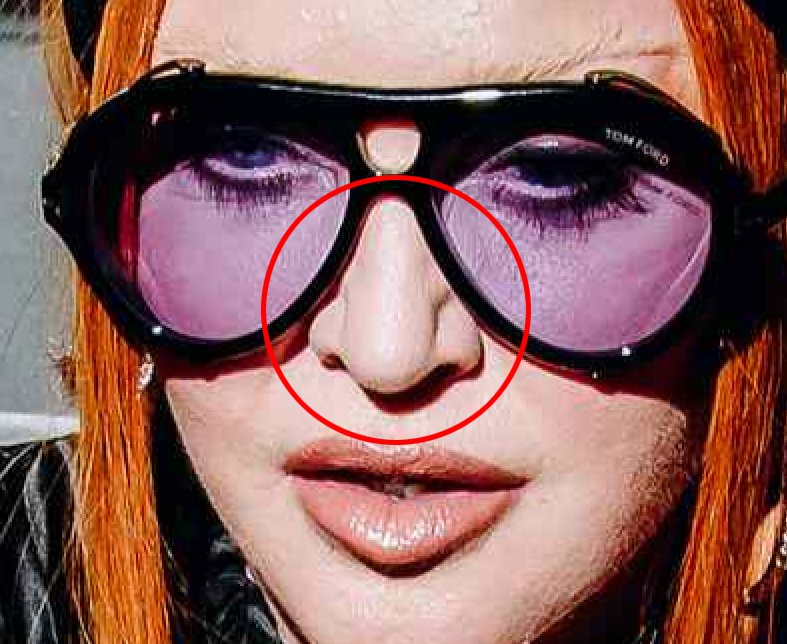 Madonna Mongrel Nose