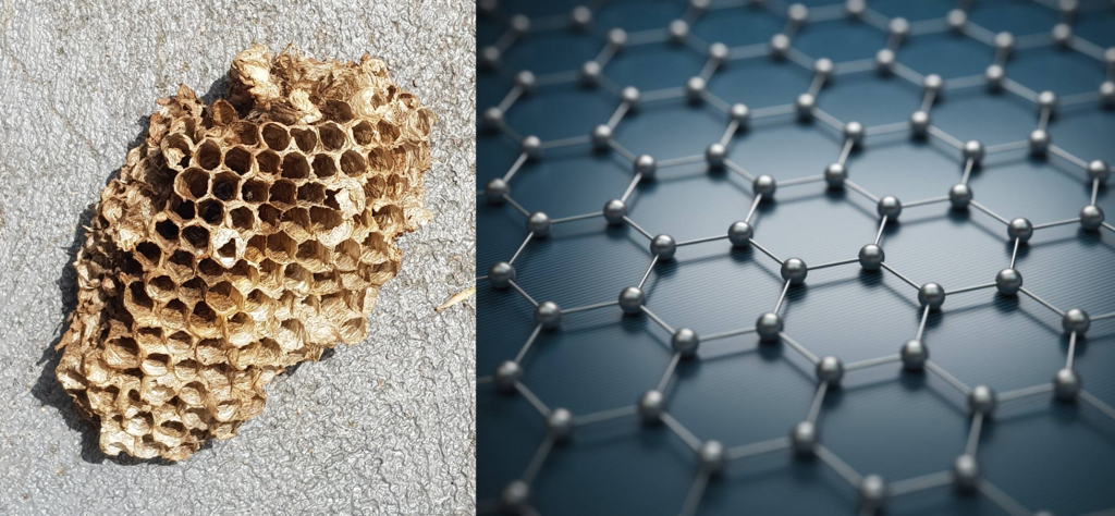 Wasp Hive - Graphene Honeycomb