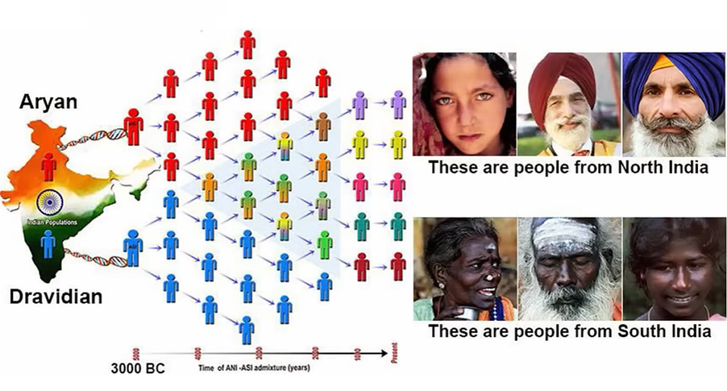 Aryan Dravidian Indians
