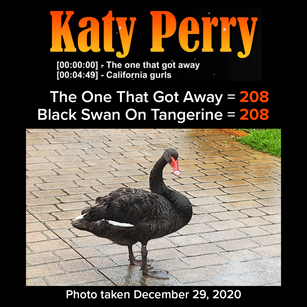The One That Got Away - Black Swan